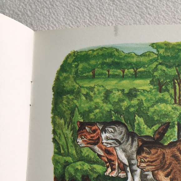 “My Little Book About Tom Kitten” Paperback Book - Picture 11 of 16